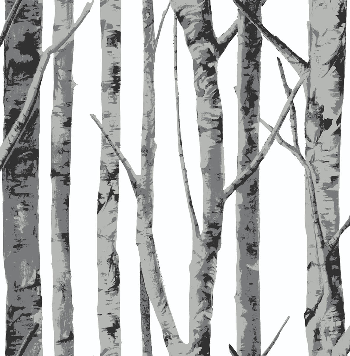 Birch-Trees-NextWall-Peel-&-Stick-NW34800