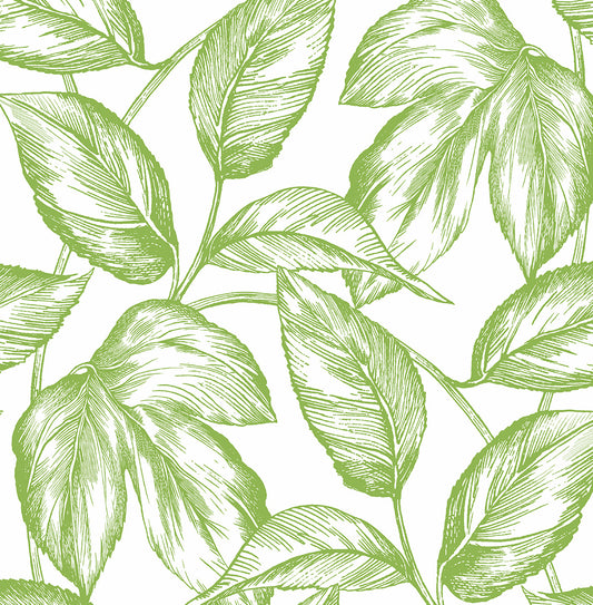 Sketched-Leaves-NextWall-Peel-&-Stick-NW46904