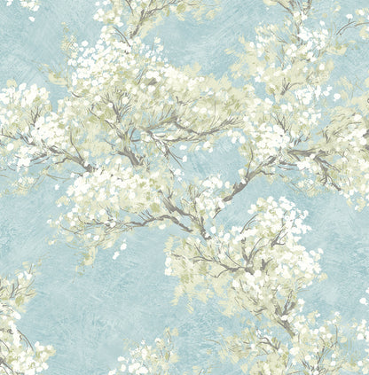 Cherry Blossom Grove Peel and Stick Wallpaper in Blue Mist and Green Tea featuring delicate blooming cherry blossoms, leafy branches, and soft botanical details. This elegant floral wallpaper showcases calming blue and green tones, creating a nature-inspired accent wall for bedrooms, living rooms, nurseries, dining rooms, and home offices. Removable, washable, and renter-friendly wallpaper with a sophisticated botanical design.