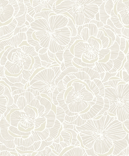 NextWall  Camellia Floral Floral Contemporary Off-White   - NW60000