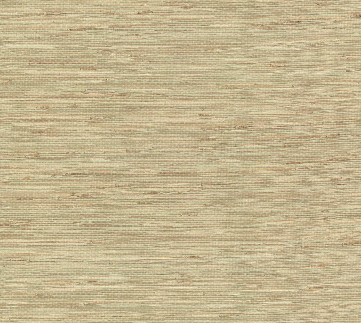 York Wallcoverings York Wallcoverings River Grass Green Wallpaper  Weaves Greens   - NZ0780