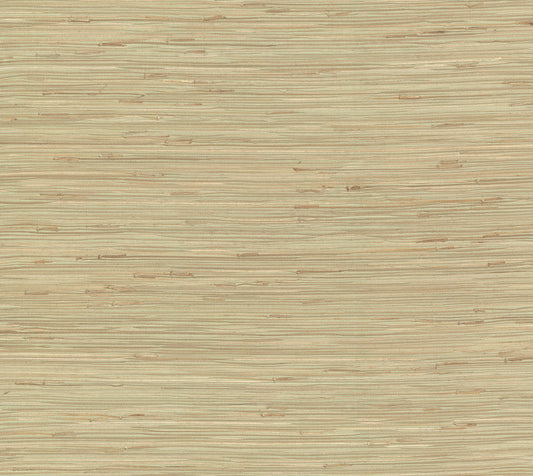 York Wallcoverings York Wallcoverings River Grass Green Wallpaper  Weaves Greens   - NZ0780