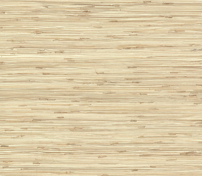 York Wallcoverings York Wallcoverings River Grass Beige Wallpaper  Weaves Neutrals   - NZ0781