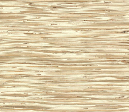 York Wallcoverings York Wallcoverings River Grass Beige Wallpaper  Weaves Neutrals   - NZ0781
