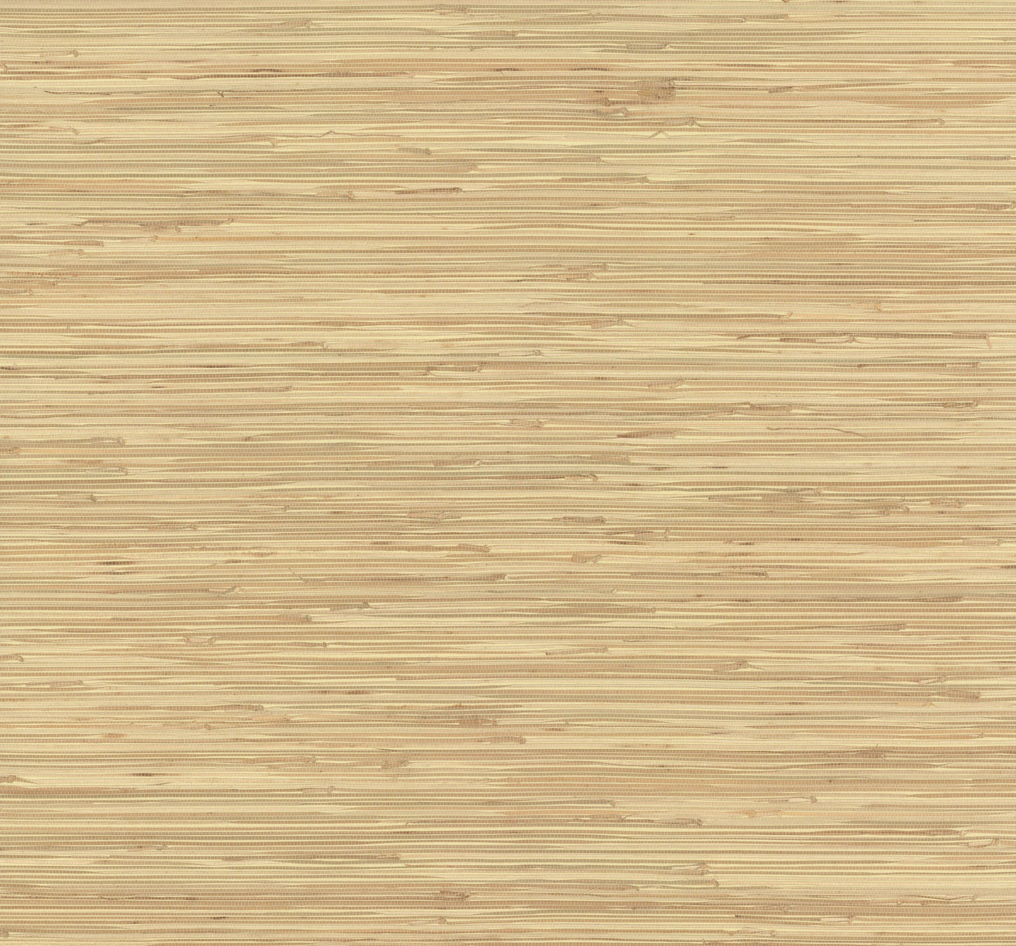 York Wallcoverings York Wallcoverings River Grass Beige Wallpaper  Weaves Neutrals   - NZ0787