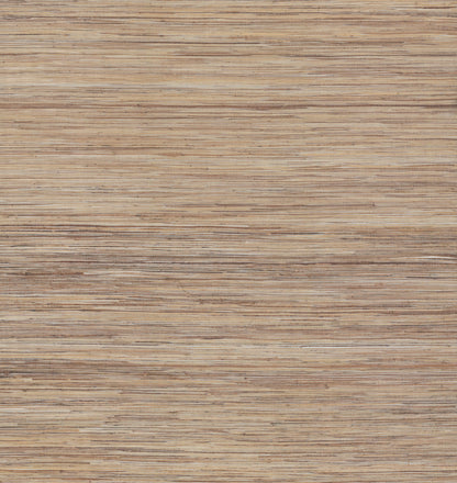 York Wallcoverings York Wallcoverings Raw Jute Grasscloth Metallic Wallpaper  Grasscloth Metallics   - NZ0796