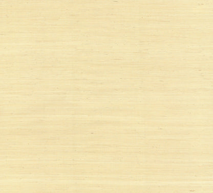 York Wallcoverings York Wallcoverings Jute Beige Wallpaper  Weaves Neutrals   - NZ0799
