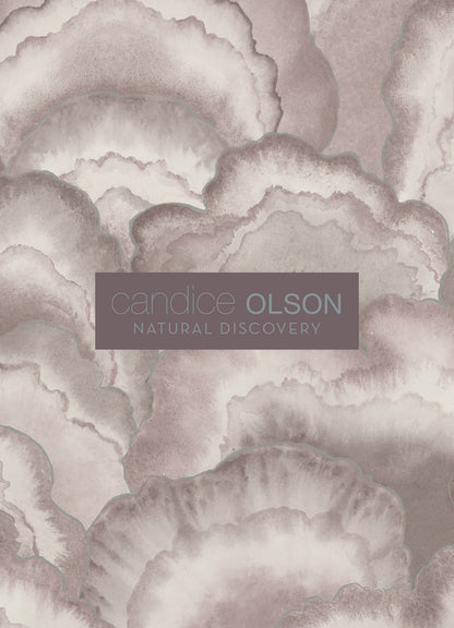 York Wallcoverings Natural Discovery Abalone Sand Fans Wallpaper Transitional Bohemian Beiges   - NT6182