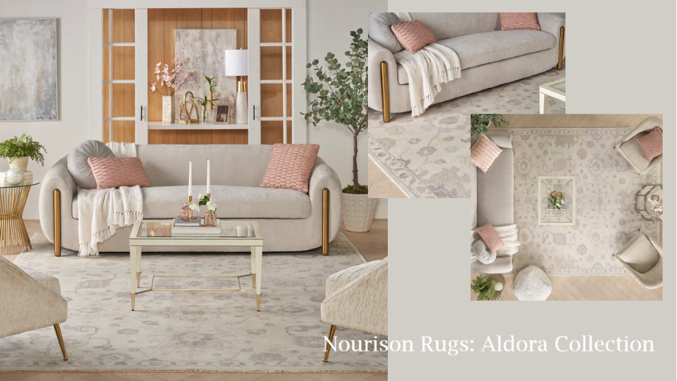 Living room with Nourison Rugs Aldora Collection rug and gray sofa.