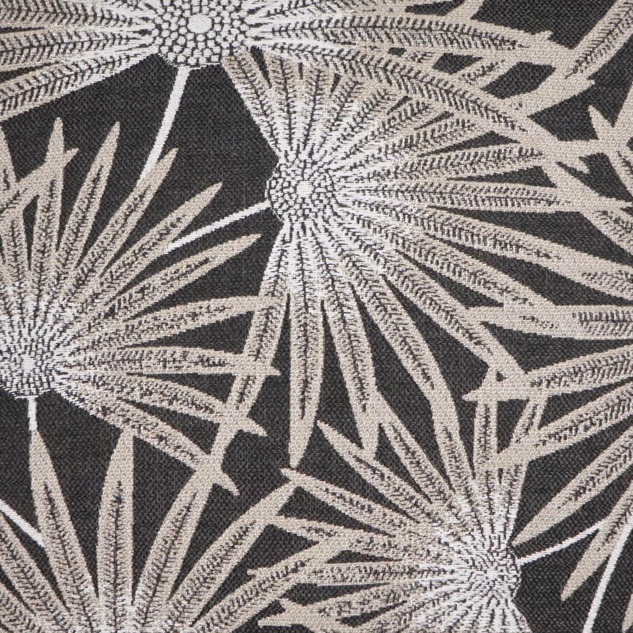 D.V. KAP HOME   22" x 22" Outdoor Etta Pillow - Black Beach, Floral    - OD-375-B-2222