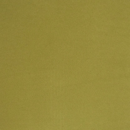 D.V. KAP HOME   22" x 22" Outdoor Sundance Pillow - Leaf Solid, Modern    - OD-403-L-2222