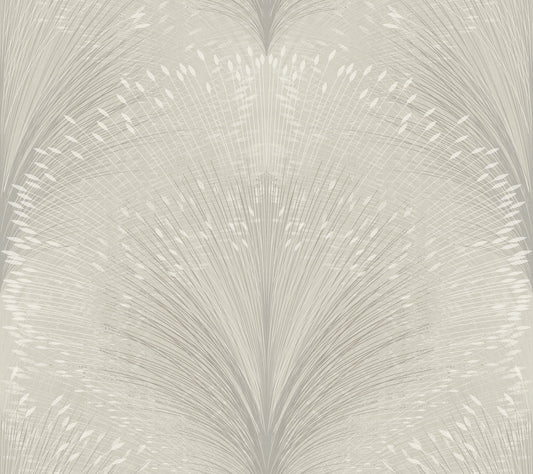 York Wallcoverings New Origins Papyrus Plume Grey Wallpaper  Botanical Blacks   - OI0684