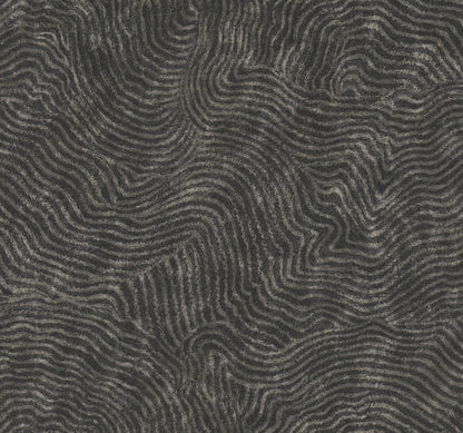 York Wallcoverings New Origins Modern Wood Black Wallpaper  Geometrics Blacks   - OI0716