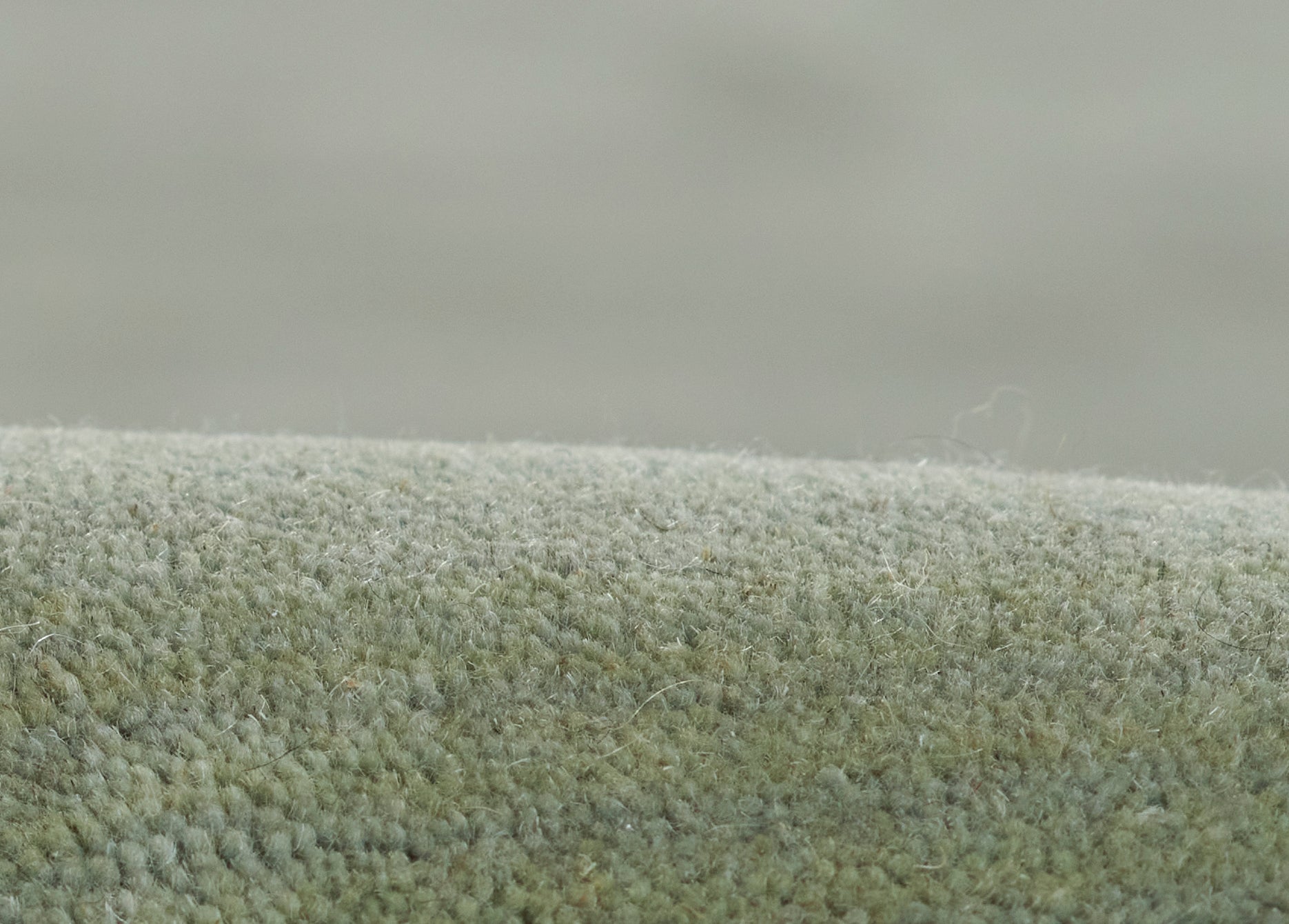 Close-up of olive-green ombre rug with dense plush pile and soft texture.