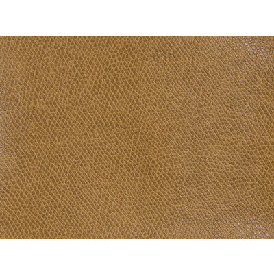 KRAVET CONTRACT VINYL/FAUX LEATHER  ORANGE,ORANGE,   - OPHIDIAN.124.0