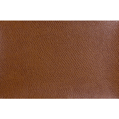 KRAVET CONTRACT VINYL/FAUX LEATHER  ORANGE,ORANGE,   - OPHIDIAN.24.0