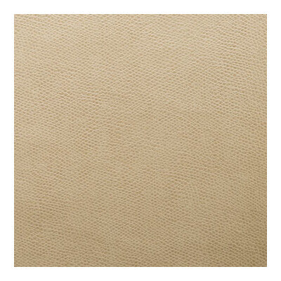 KRAVET CONTRACT VINYL/FAUX LEATHER  BEIGE,BEIGE,BEIGE   - OPHIDIAN.61.0