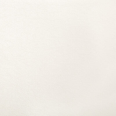 KRAVET CONTRACT VINYL/FAUX LEATHER TEXTURE WHITE,WHITE,   - OPTIMA.101.0