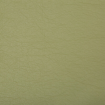 KRAVET CONTRACT VINYL/FAUX LEATHER TEXTURE SAGE,CELERY,   - OPTIMA.130.0