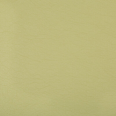 KRAVET CONTRACT VINYL/FAUX LEATHER TEXTURE CELERY,CELERY,   - OPTIMA.23.0