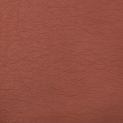 KRAVET CONTRACT VINYL/FAUX LEATHER TEXTURE RUST,RUST,   - OPTIMA.24.0