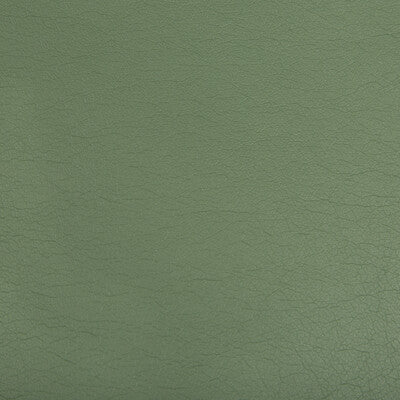 KRAVET CONTRACT VINYL/FAUX LEATHER TEXTURE OLIVE GREEN,OLIVE GREEN,   - OPTIMA.3.0