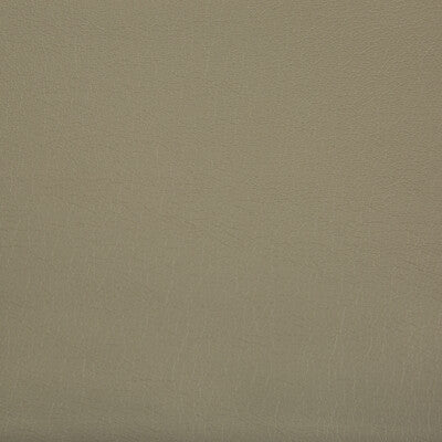 KRAVET CONTRACT VINYL/FAUX LEATHER TEXTURE TAUPE,GREY,   - OPTIMA.616.0