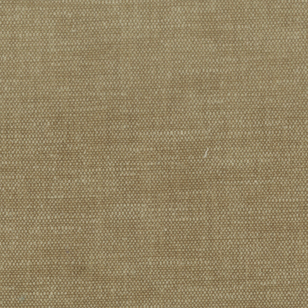 STOUT TEXTILES  MULTIPURPOSE,TEXTURE TRADITIONAL, SOLID CARAMEL   - ORWI-14