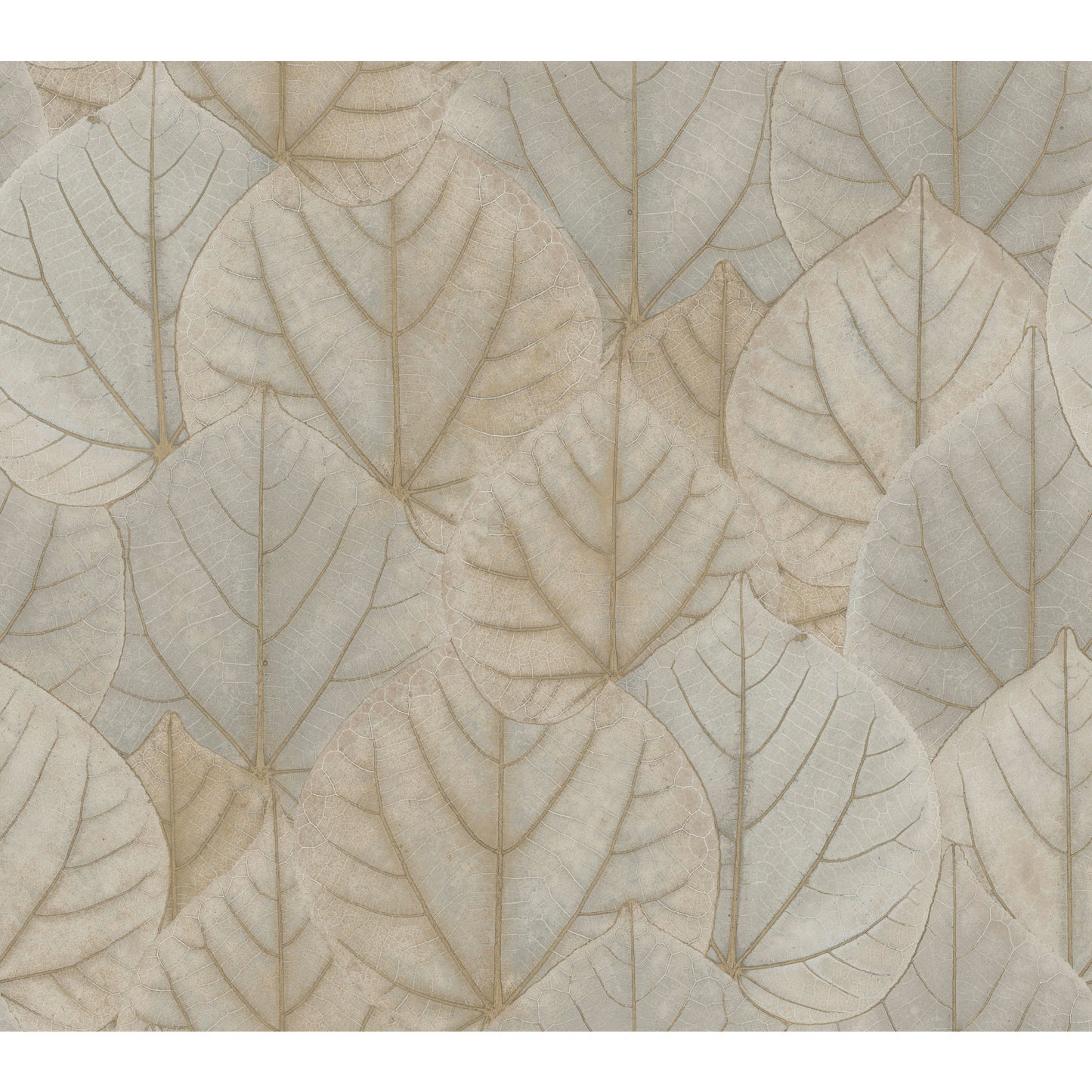 York Wallcoverings Candice Olson Modern Nature 2nd Edition Leaf Concerto Taupe Wallpaper  Botanical Neutrals   - OS4243