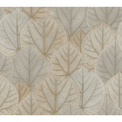 York Wallcoverings Candice Olson Modern Nature 2nd Edition Leaf Concerto Taupe Wallpaper  Botanical Neutrals   - OS4243