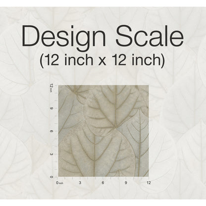 York Wallcoverings Candice Olson Modern Nature 2nd Edition Leaf Concerto Taupe Wallpaper  Botanical Neutrals   - OS4243