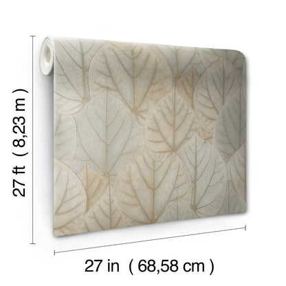 York Wallcoverings Candice Olson Modern Nature 2nd Edition Leaf Concerto Taupe Wallpaper  Botanical Neutrals   - OS4243