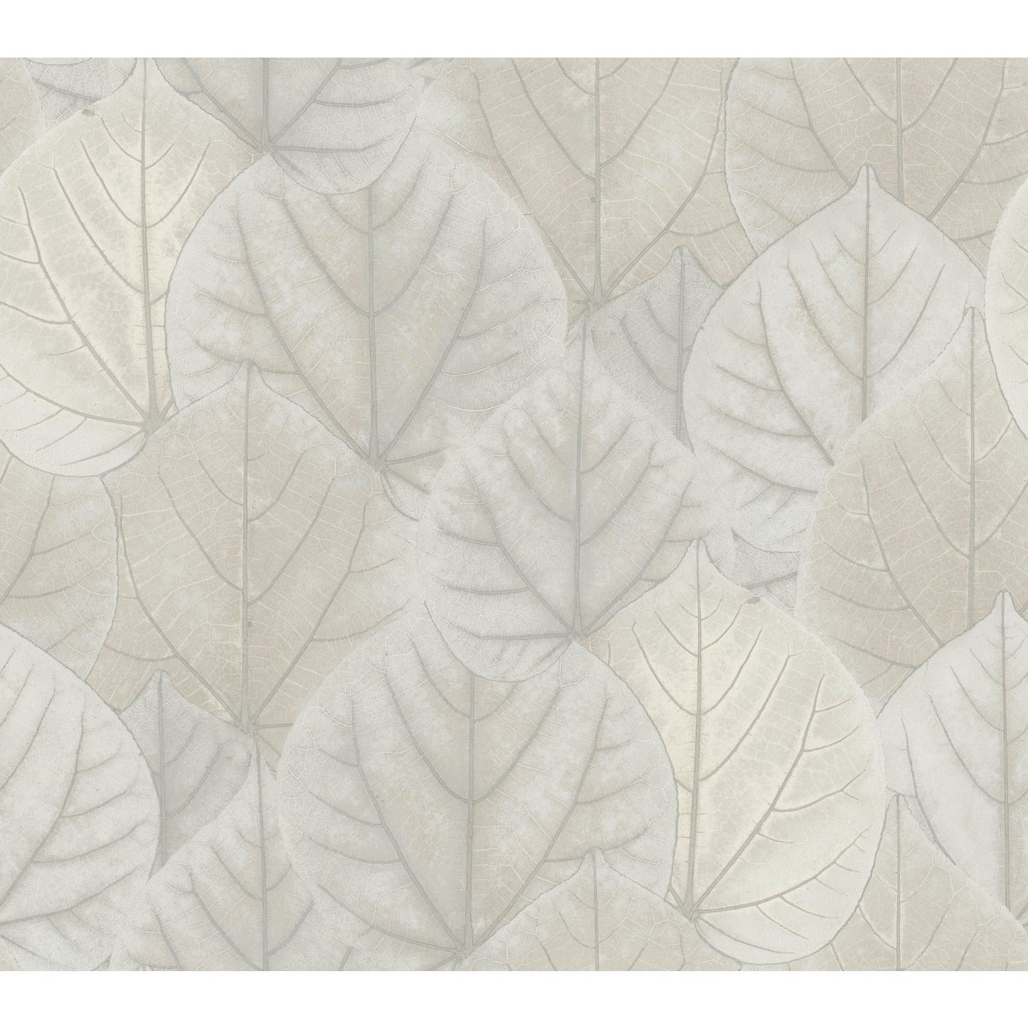 York Wallcoverings Candice Olson Leaf Concerto Grey Wallpaper  Botanical Greys   - OS4246