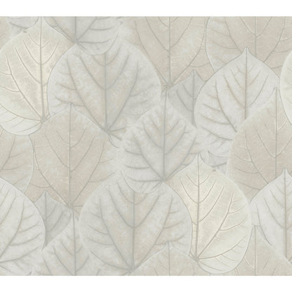 York Wallcoverings Candice Olson Leaf Concerto Grey Wallpaper  Botanical Greys   - OS4246