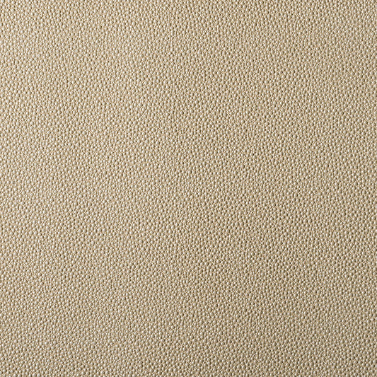 JF Fabrics Ez-Kleen OUTLAW 93 Fabric Plain, Texture Pewter, Grey  Vegan Leather, Vinyl - 9552493 J9591