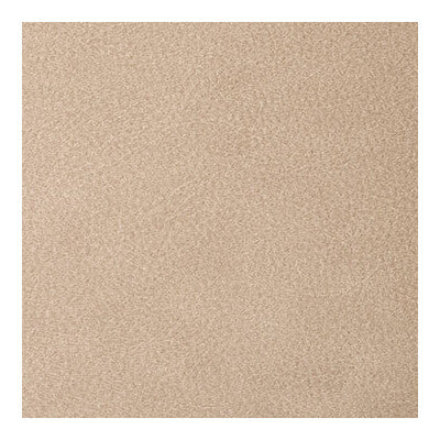 KRAVET CONTRACT VINYL/FAUX LEATHER TEXTURE BEIGE,,BEIGE   - OVERLOOK.116.0