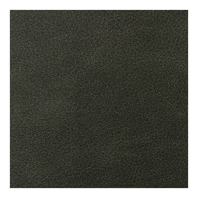 KRAVET CONTRACT VINYL/FAUX LEATHER TEXTURE GREEN,,GREEN   - OVERLOOK.303.0