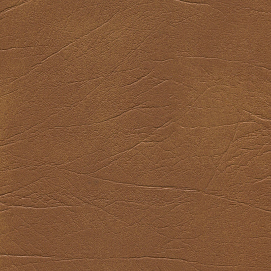 NICHOLASJOHN INC NJ-OX Camel    Fabric - NJ25-2537