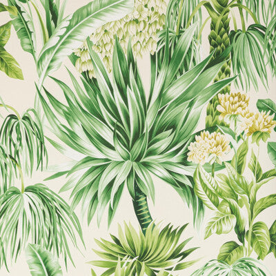 LEE JOFA CALUYA PAPER PRINT--BOTANICAL & FLORAL- SPRING DAY   - P2020104.3034.0