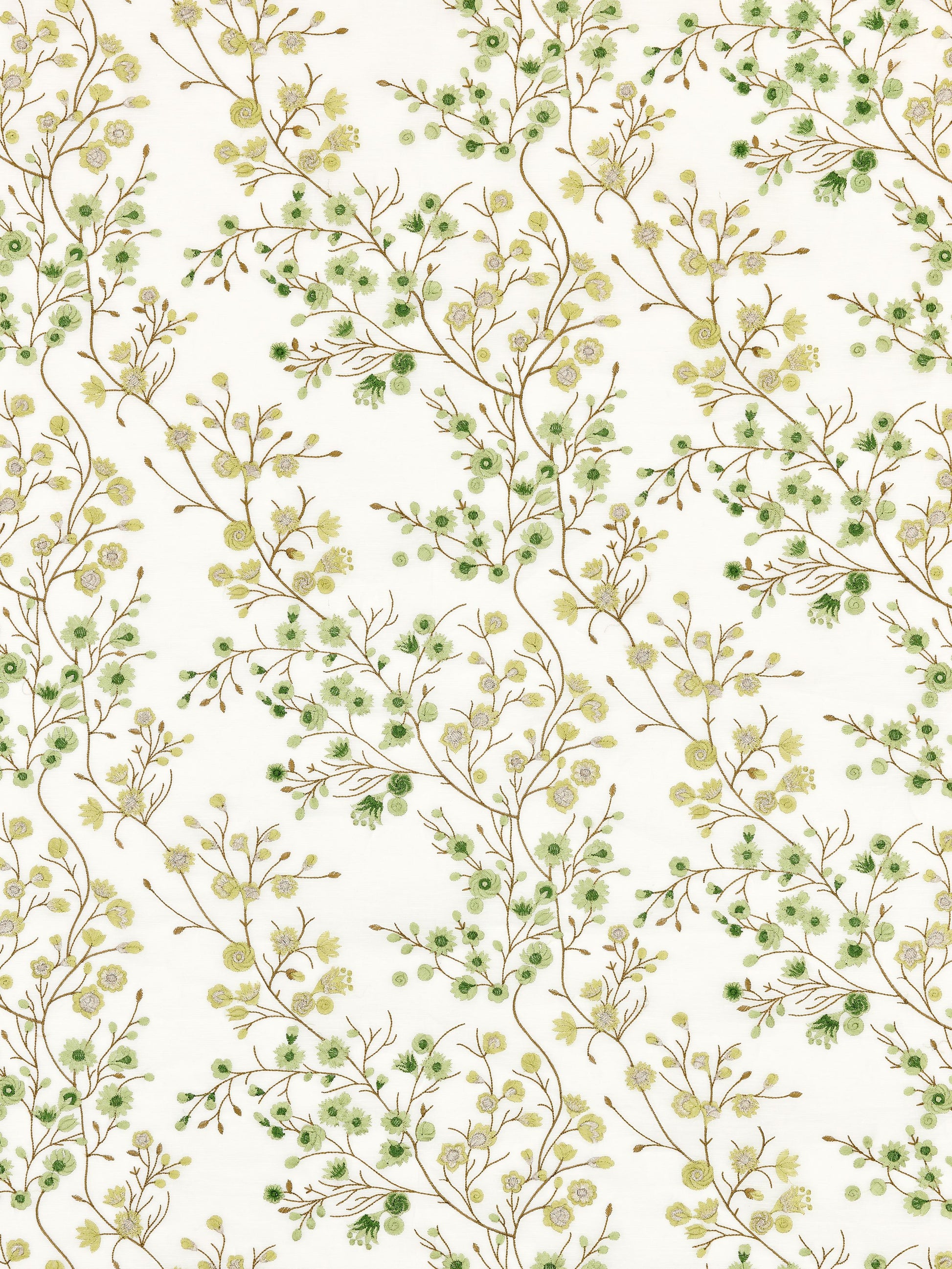 SCALAMANDRE  LILETTE SHEER FABRIC FERN   - P4 00019863