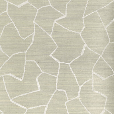 DONGHIA W-BARK CLOTH PRINT-GRASSCLOTH--MODERN GREY,WHITE,   - P6021100.11.0