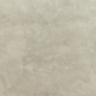 DONGHIA ST MARKS PRINT--MODERN-METALLIC IVORY,TAUPE,METALLIC   - P6021125.1.0