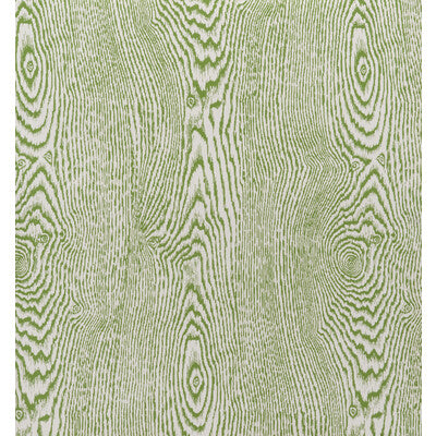 BRUNSCHWIG & FILS WOOD PRINT--SOLID-TEXTURE GREEN,GREEN,   - P8013142.3.0