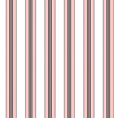 BRUNSCHWIG & FILS RAYURE LIONE PRINT---STRIPES PINK,WHITE,BLACK   - P8015104.17.0