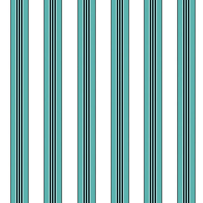 BRUNSCHWIG & FILS RAYURE LIONE PRINT---STRIPES TURQUOISE,WHITE,BLACK   - P8015104.513.0