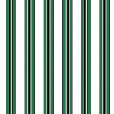 BRUNSCHWIG & FILS RAYURE LIONE PRINT---STRIPES GREEN,WHITE,BLACK   - P8015104.53.0