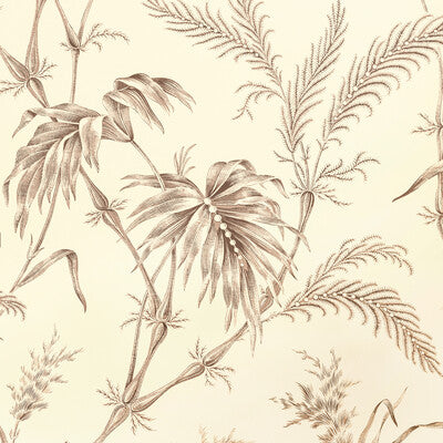 BRUNSCHWIG & FILS LAUZIERE PRINT---BOTANICAL & FLORAL TAUPE,BEIGE,   - P8020113.106.0