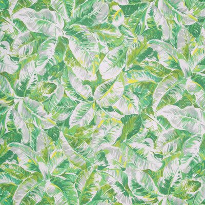 BRUNSCHWIG & FILS DIANI PRINT---BOTANICAL & FLORAL GREEN,GREEN,   - P8022109.3.0