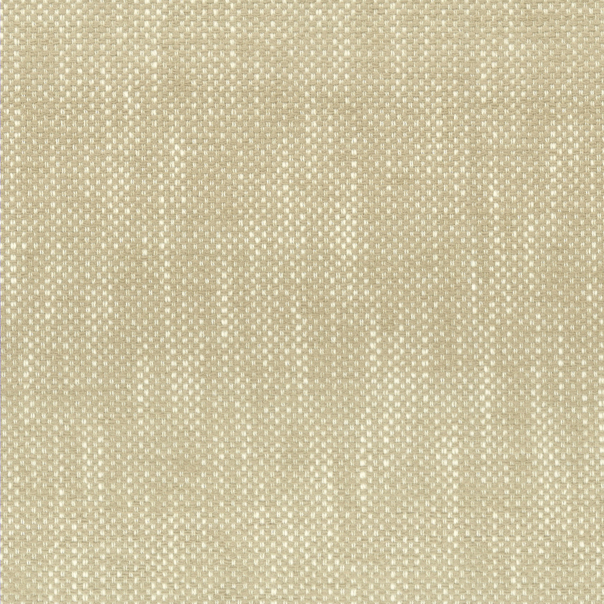 STOUT TEXTILES  UPHOLSTERY,WOVENS TRADITIONAL, SOLID CHAMPAGNE   - PANI-1