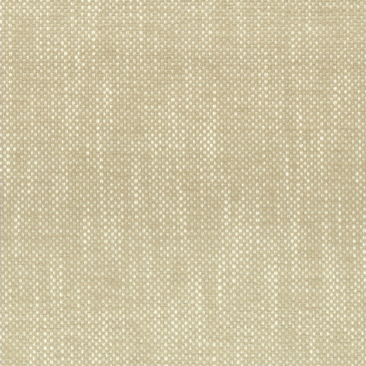 STOUT TEXTILES  UPHOLSTERY,WOVENS TRADITIONAL, SOLID CHAMPAGNE   - PANI-1